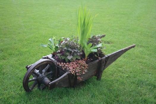 wooden wheelbarrow in the spring green park 