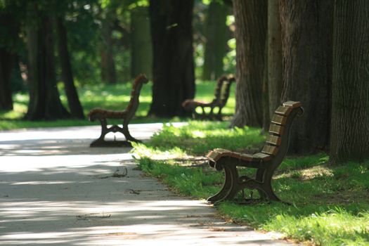 very nice spring park for your resting