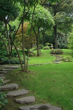 very nice green park in the early spring