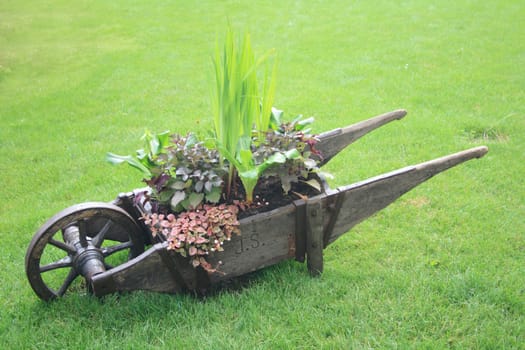 wooden wheelbarrow in the spring green park 