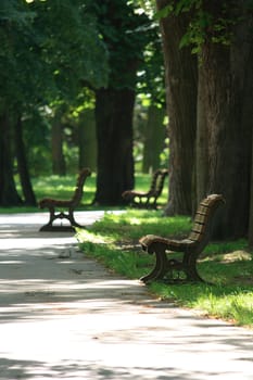 very nice spring park for your resting