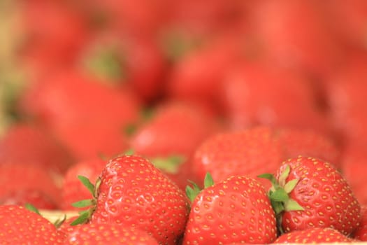 red strawberries as very nice natural background