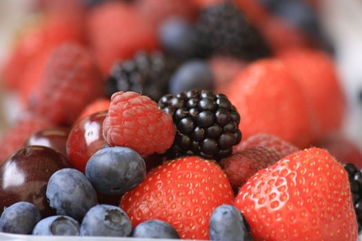 forest fruits as very nice natural background