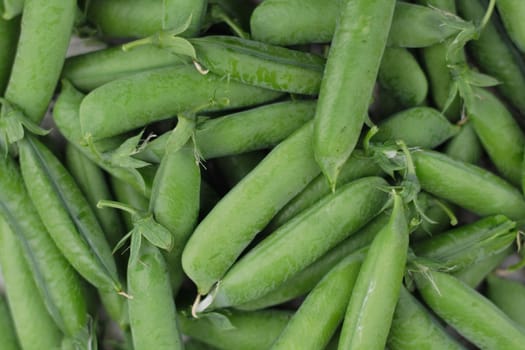 nice pea background from my spring garden 