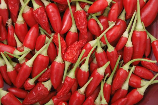 spice (chili) as very hot food background