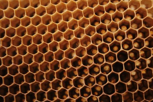 beeswax wirhout honey as very nice natural background