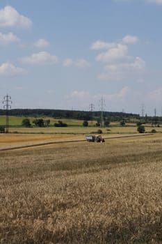 golden corn and open country in the summer 