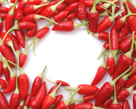 very nice spice background from the chili 