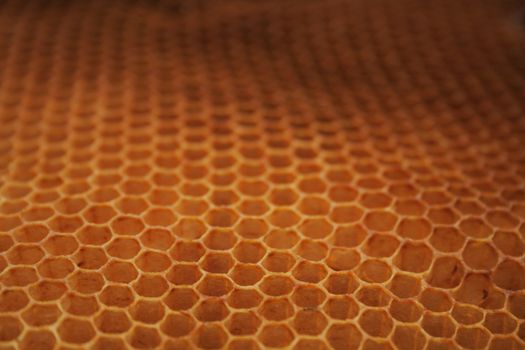 empty beeeswax background without sweet honey