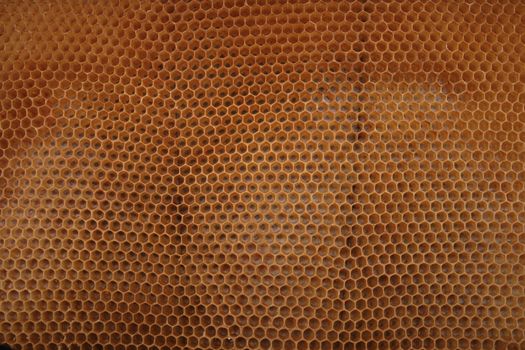 beeswax wirhout honey as very nice natural background