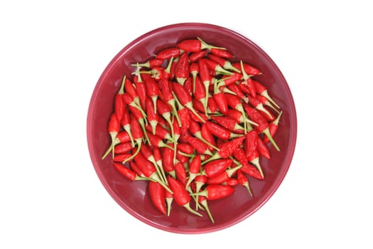 chili on the plate isolated on the white background