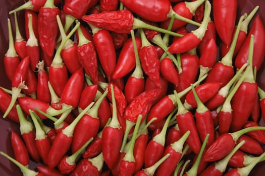 very nice spice background from the chili 