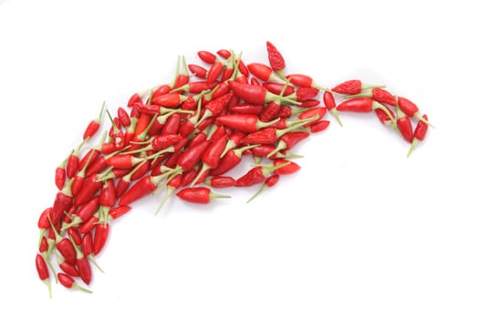 spice (chili) as very hot food background