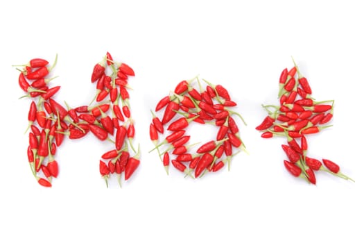 very nice word "hot" from the chili 