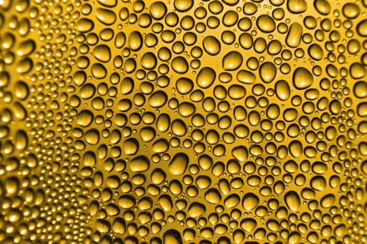 golden beer background with the water drops