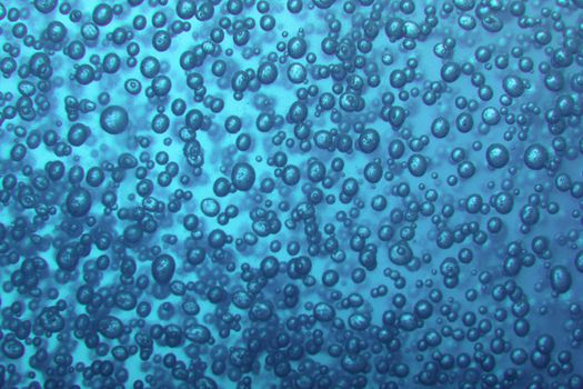 frech water bubbles background in the blue color