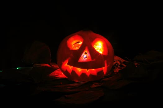 halloween pumpkin as very nice holiday background