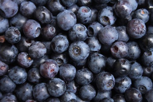 fresh blueberries as very nice food background