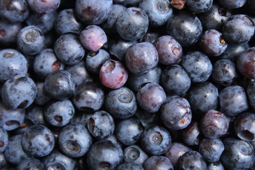 fresh blueberries background as nice food background