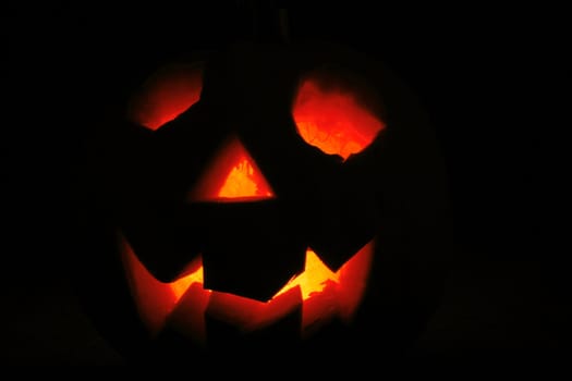 halloween pumpkin as very nice holiday background