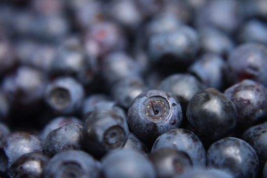 fresh blueberries as very nice food background