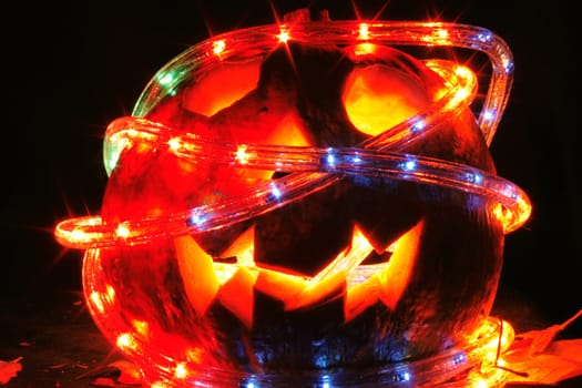 halloween pumpkin as very nice holiday background