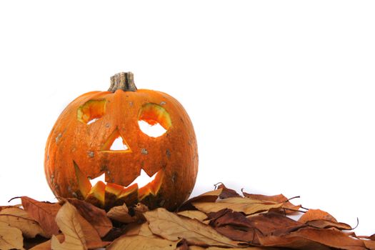 halloween decoration (pumpkin) isolated on the white background