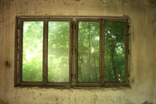 nice windows of old house with green background behind this 