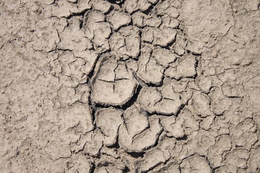 dry land as very nice natural background