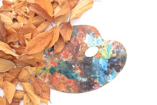 autumn  background from the old leaves on the white background