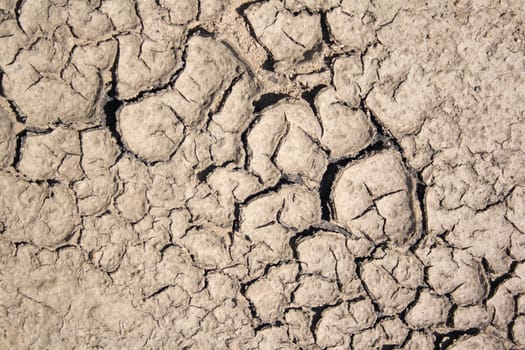 very dry land as nice natural background