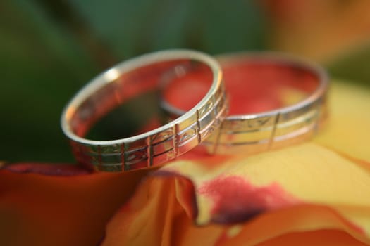 very nice rings as easy wedding background