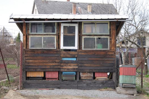 czech bee farm in the early spring