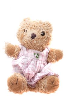 nice toy bear isolated on the white background