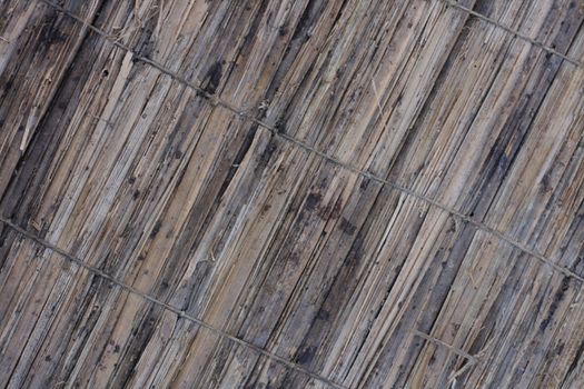 very nice bamboo texture as natural background