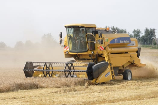 harvester in the corn field in the czech republic