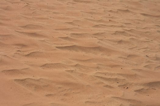 sand background from dry sahara in the Tunisia 