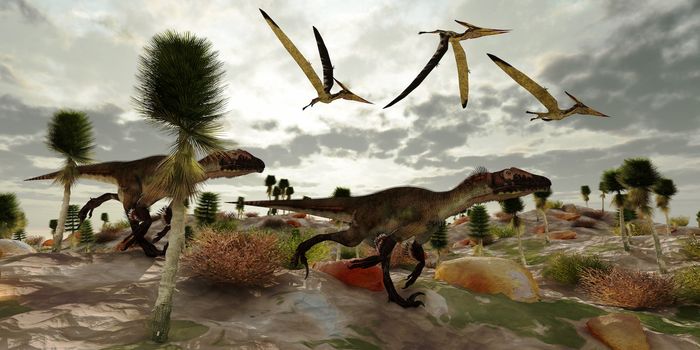 Three Pterosaur reptile dinosaur fly along and watch two Utahraptors as they hunt to share in the kill.