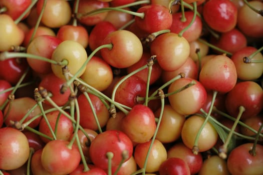 fresh cherries as very nice food background