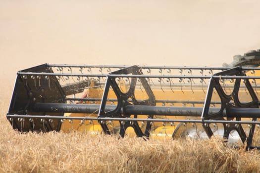 new yellow corn harvester on the field 