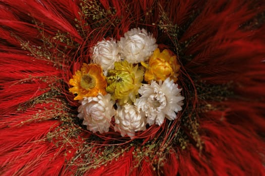 color dry flowers as very nice flower background