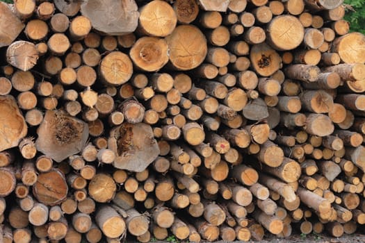 wood texture as very nice natural background