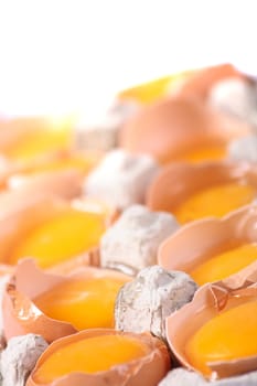 fresch eggs as very nice food background