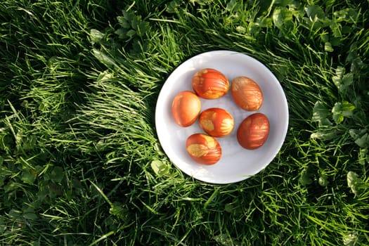 colored easter eggs in the green grass