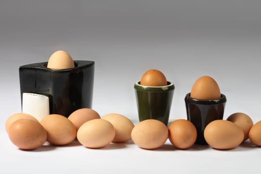 brown eggs isolated on the white background