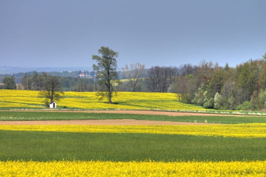 spring agricultural country in the czech republic
