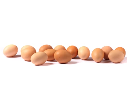 fresch eggs isolated on the white background