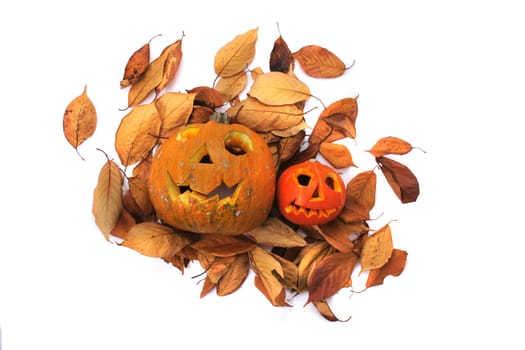 halloween pumpkins isolated on the white background
