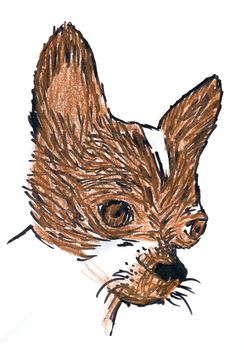 my chihuahua becky hand made illustration on white background