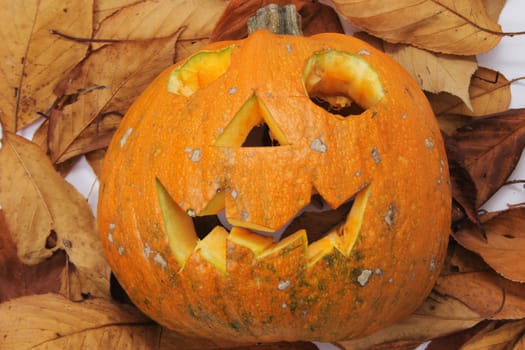 halloween pumkin  on the autumn leafy  background